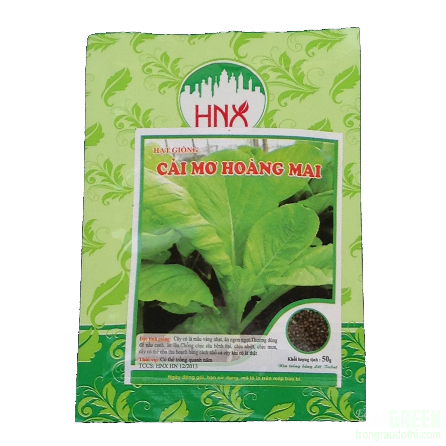 Hạt giống cải mơ Hoàng Mai